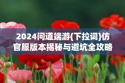 仿官服版本揭秘与避坑全攻略图片
