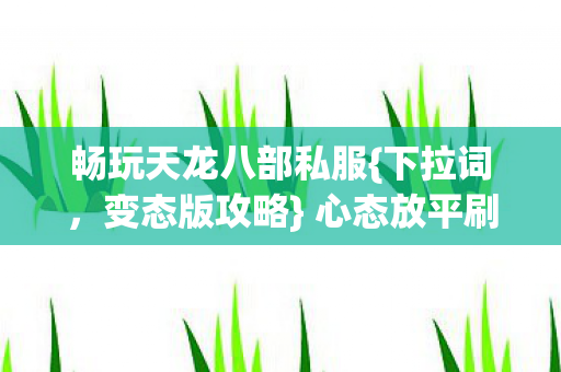 畅玩天龙八部私服图片