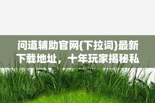 十年玩家揭秘私服野路图片