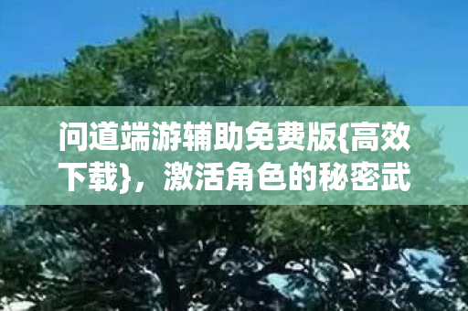 问道端游辅助免费版{高效下载},激活角色的秘密武器 问道端游辅助免费版{高效下载},激活角色的秘密武器