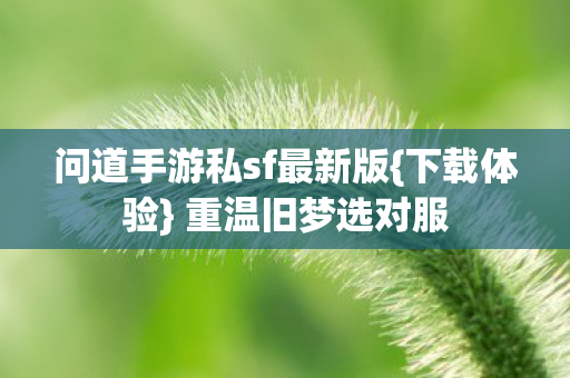 问道手游私sf最新版图片
