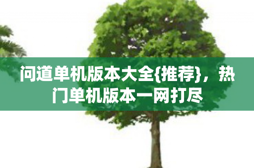 热门单机版本一网打尽图片