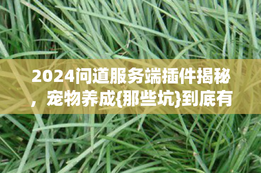 2024问道服务端插件揭秘图片