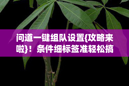 条件细标签准轻松搞定图片