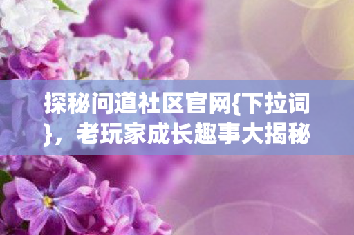 老玩家成长趣事大揭秘图片