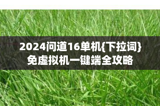2024问道16单机图片