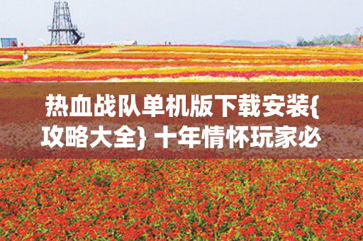 热血战队单机版下载安装图片