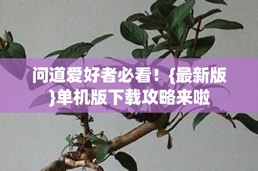 单机版下载攻略来啦图片