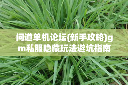 gm私服隐藏玩法避坑指南图片