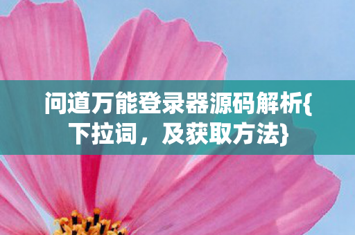 问道万能登录器源码解析图片