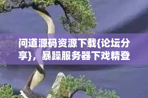 暴躁服务器下戏精登录的避坑指南图片