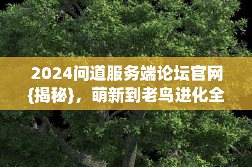2024问道服务端论坛官网图片