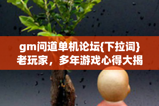 多年游戏心得大揭秘图片