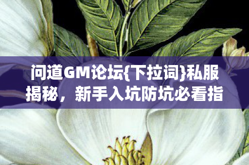 新手入坑防坑必看指南图片