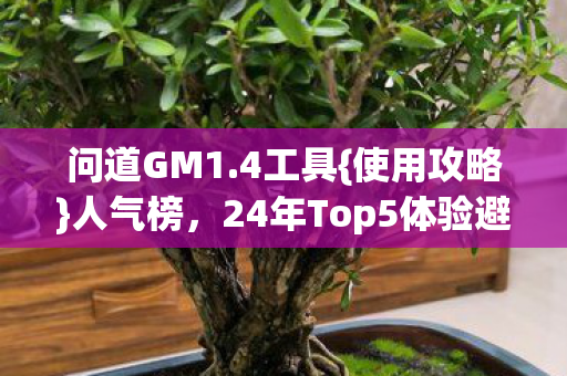 问道GM1.4工具{使用攻略}人气榜，24年Top5体验避雷实录