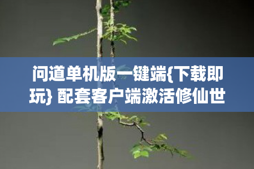 配套客户端激活修仙世界图片