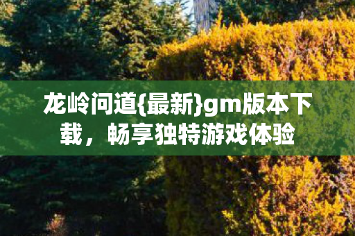 畅享独特游戏体验图片