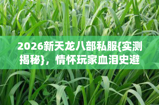 2026新天龙八部私服图片