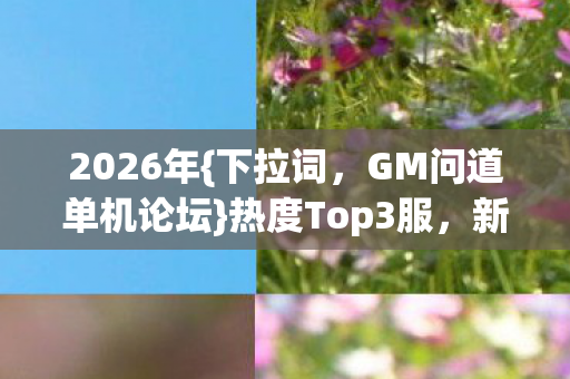 GM问道单机论坛图片