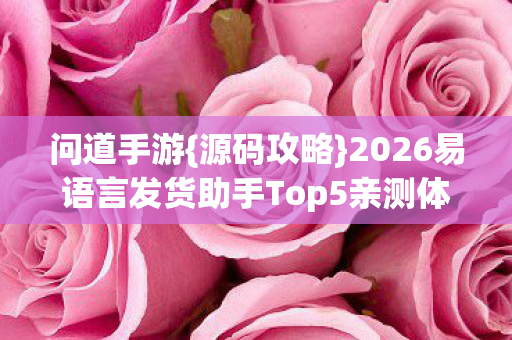2026易语言发货助手Top5亲测体验图片