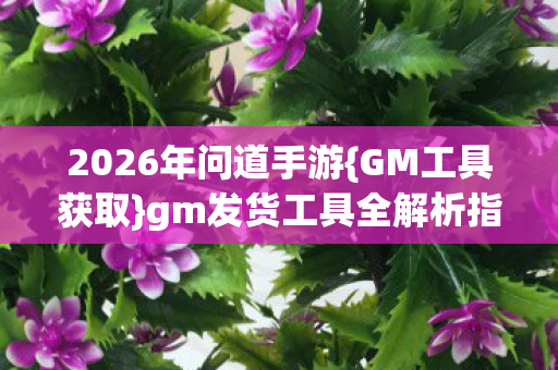 gm发货工具全解析指南图片