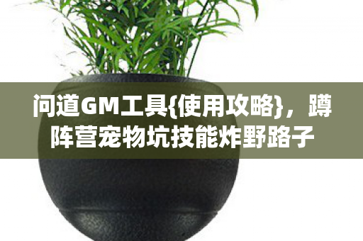 蹲阵营宠物坑技能炸野路子图片