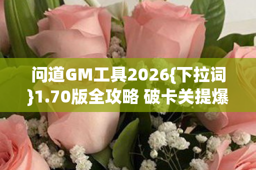 问道GM工具2026{下拉词}1.70版全攻略 破卡关提爆率指南