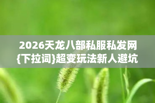 2026天龙八部私服私发网图片