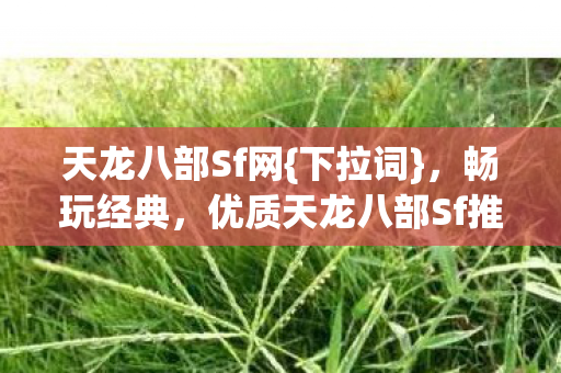 优质天龙八部Sf推荐图片