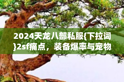 装备爆率与宠物洗髓难题图片