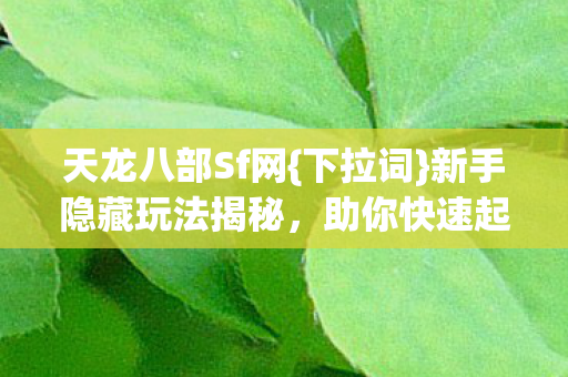 新手隐藏玩法揭秘图片