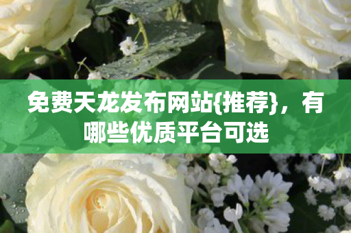 有哪些优质平台可选图片