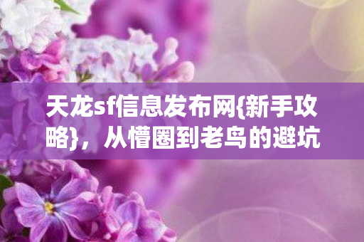 从懵圈到老鸟的避坑指南图片