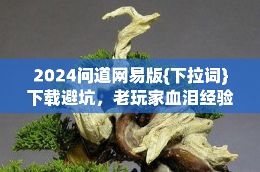2024问道网易版{下拉词}下载避坑，老玩家血泪经验