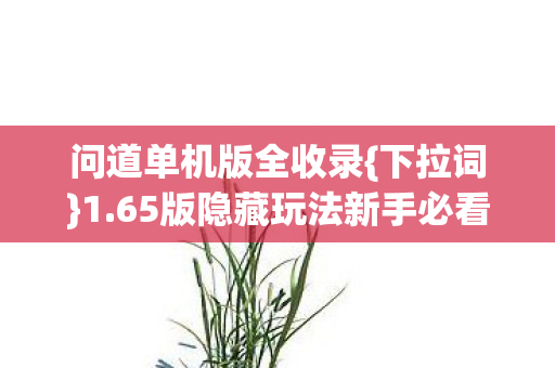 65版隐藏玩法新手必看图片