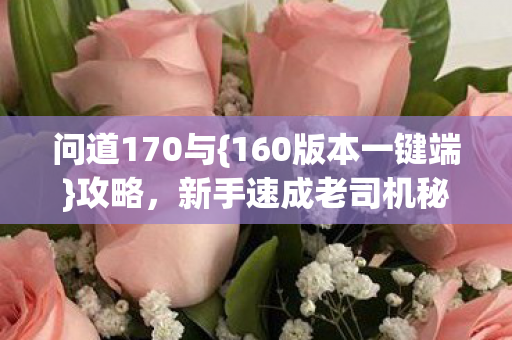 新手速成老司机秘籍图片