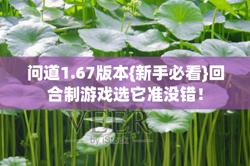 回合制游戏选它准没错图片