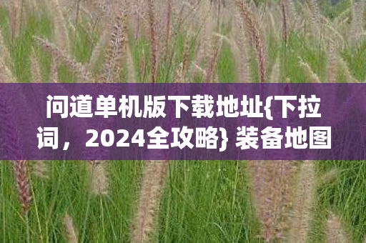 问道单机版下载地址图片