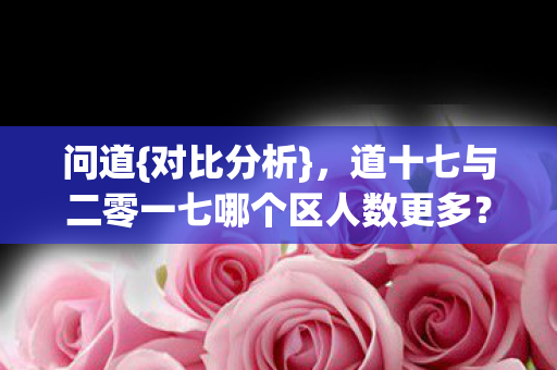 道十七与二零一七哪个区人数更多图片