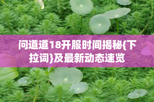 问道道18开服时间揭秘图片