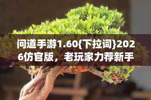 老玩家力荐新手生存指南图片