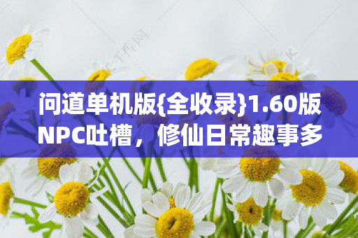 60版NPC吐槽图片