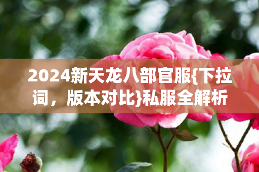 2024新天龙八部官服图片