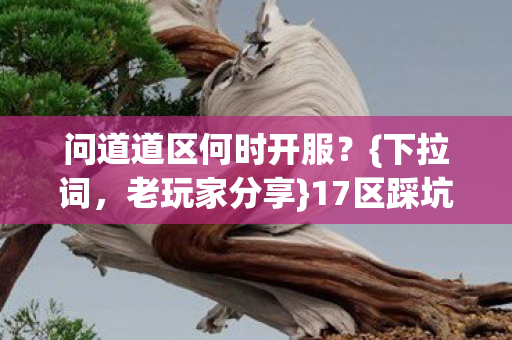 问道道区何时开服图片