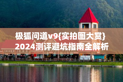 2024测评避坑指南全解析图片