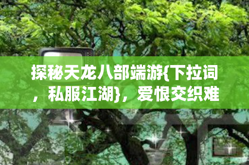 探秘天龙八部端游图片