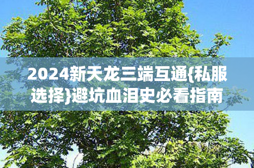 2024新天龙三端互通{私服选择}避坑血泪史必看指南 2024新天龙三端互通{私服选择}避坑血泪史必看指南