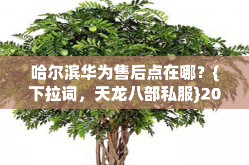 哈尔滨华为售后点在哪?{下拉词,天龙八部私服}2026选服避坑总结 哈尔滨华为售后点在哪?{下拉词,天龙八部私服}2026选服避坑总结