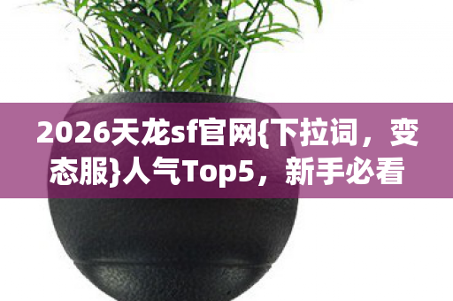 2026天龙sf官网图片