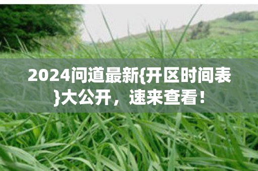 2024问道最新图片